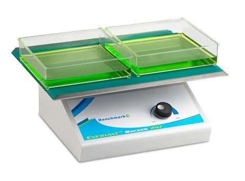 Benchmark Scientific Everlast Rocker 247 w/ Flat Mat, BR5000