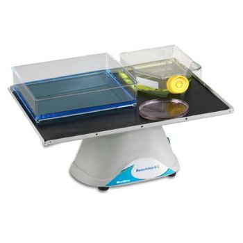 Benchmark Scientific BlotBoy 3D Fixed speed Rocker