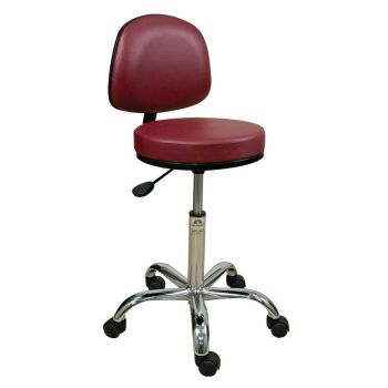 Oakworks Professional Stool w/ Backrest-Low Height Range